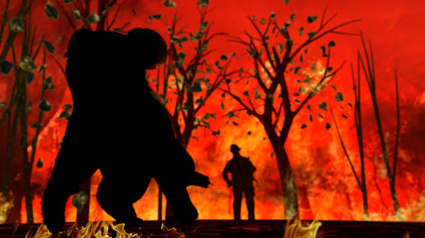 istock Silhouette of koala running and escaping from fire in Australia 3d rendering 1201060577
