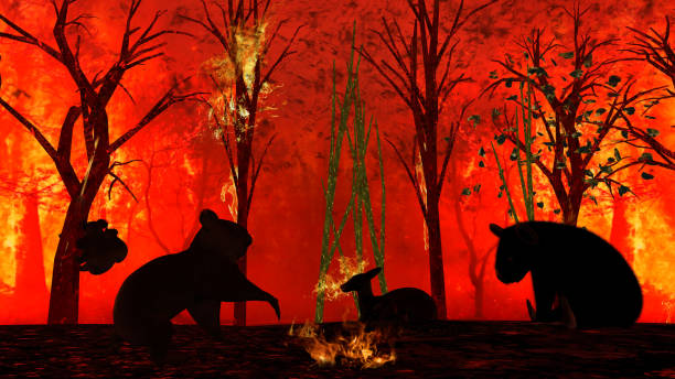 istock Australian animals in forest bushfire left alone looking hopeless between flames 3d rendering 1201060591