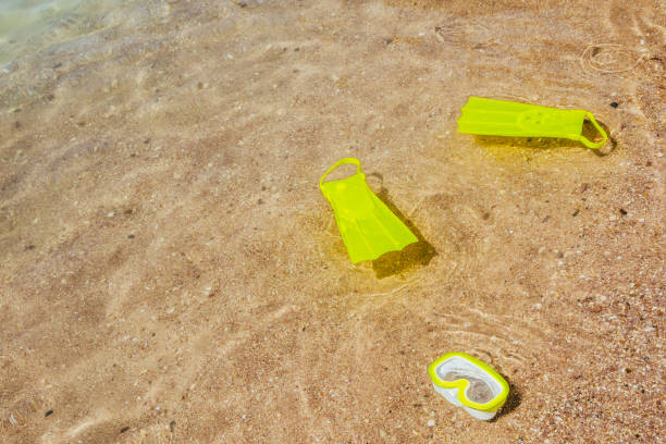 istock yellow swimming flippers and mask 1201063557