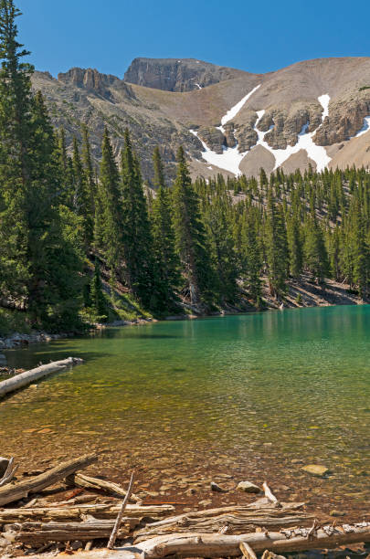 istock Alpine Lake on a Sunny Summer Day 1201066611