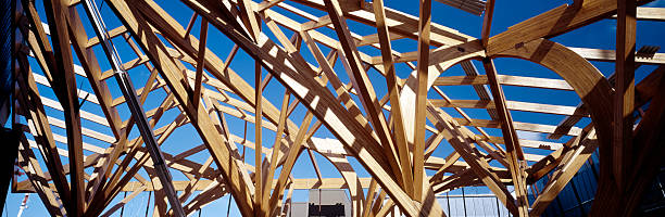istock Wooden structural frame of a new hospital. 120106677
