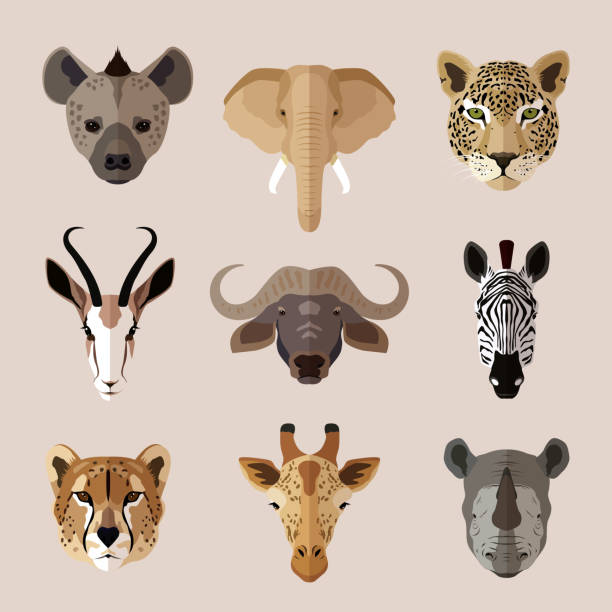 portret zwierząt płaski zestaw ikon 2 - south african giraffe stock illustrations