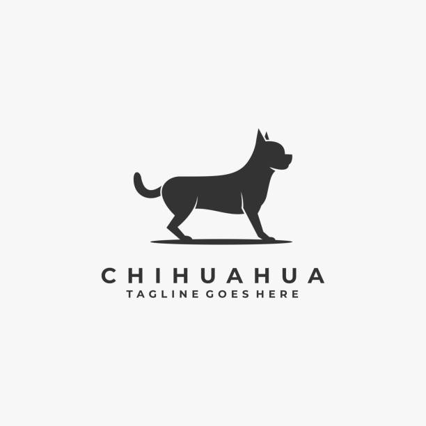 bildbanksillustrationer, clip art samt tecknat material och ikoner med vektor illustration chihuahua pose siluett. - däggdjur illustrationer