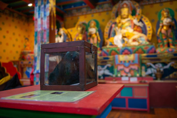 Ladakh, the Himalayas, Leh: a photo of colourful paintings on the wall of shanti stupa with himalayas in the background