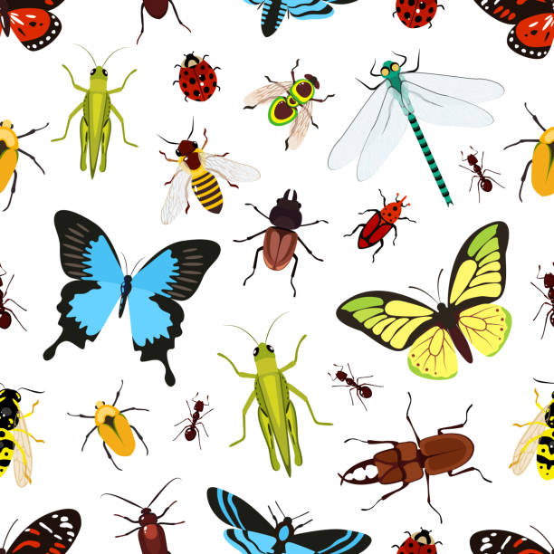 insects seamless pattern Insects colored seamless pattern with grasshopper wasp butterfly vector illustration midye stock illustrations