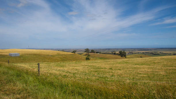 istock Dry grass on a farmland 1201079235