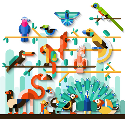 Jungle birds rainforest wildlife concept with tropic animals set vector illustration