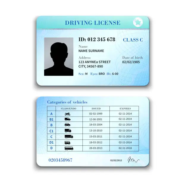 Vector illustration of driver license
