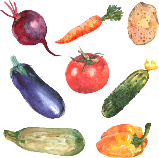 水彩野菜セット - tomato vegitable isolated food点のイラスト素材／クリップアート素材／マンガ素材／アイコン素材