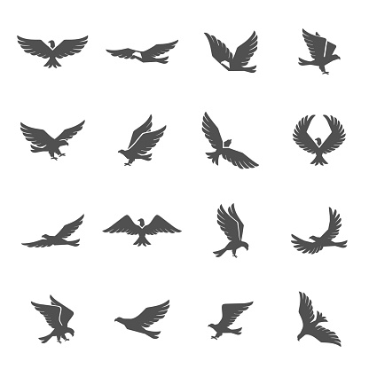 Different eagle birds spreding their wings and flying icons set isolated vector illustration