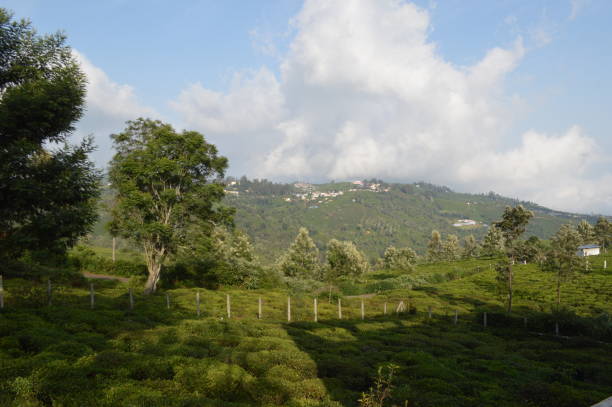 istock Kotagiri, Tamil Nadu, India 1201094532