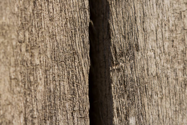 istock Abstract texture of tree stump, crack wood ancient. 1201095519