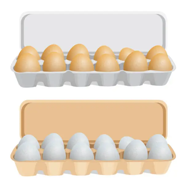 Vector illustration of Fresh chicken eggs in box