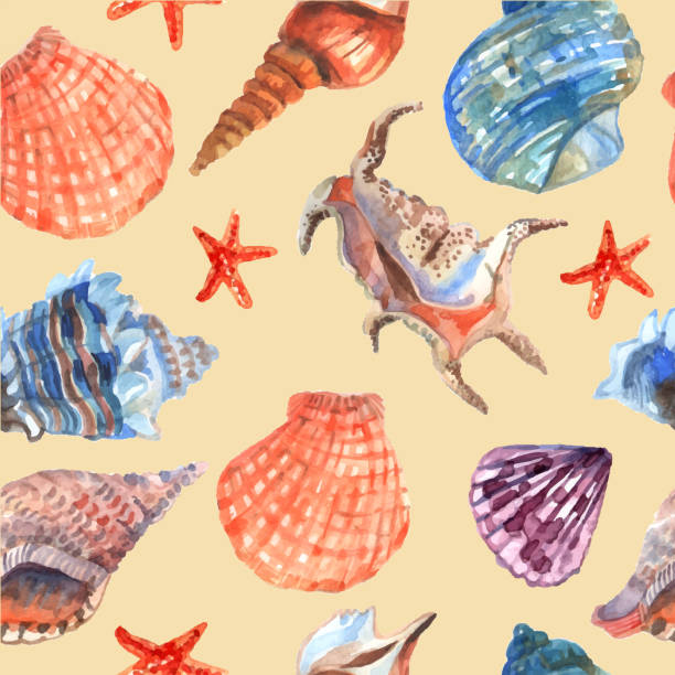ilustrações de stock, clip art, desenhos animados e ícones de shell seamless pattern - shell sea souvenir island