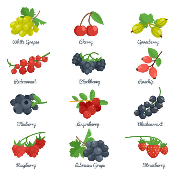 ягоды плоский значок - raspberry gooseberry strawberry cherry stock illustrations