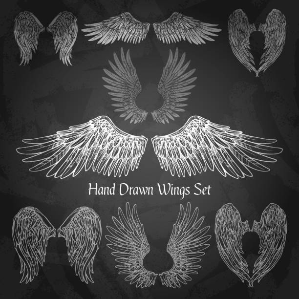 wings chalkboard Hand drawn wings set on chalk board isolated vector illustration bird angel sky heaven stock illustrations