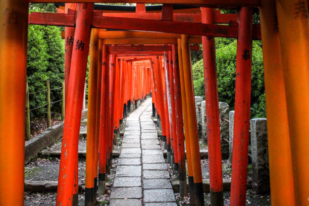Tunnel of Red Torii Gates between Nezu Shrine and Otome Inari Shrine, Tokyo stock photo