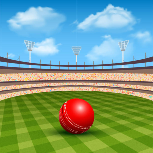 914 Cricket Pitch Illustrations & Clip Art - iStock | Cricket stadium,  Cricket, Cricket ball