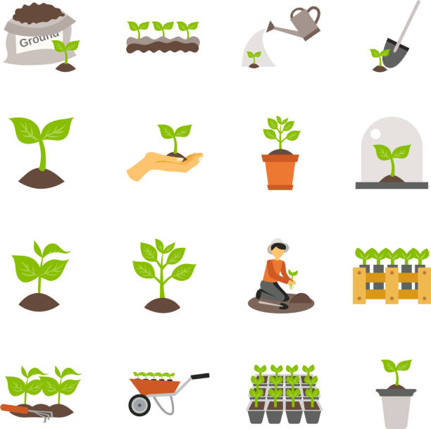 illustrazioni stock, clip art, cartoni animati e icone di tendenza di icona piatta piantine - shovel trowel dirt plant