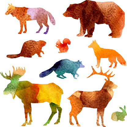 Watercolor forest animals set with beaver raccoon fox and hare isolated vector illustration