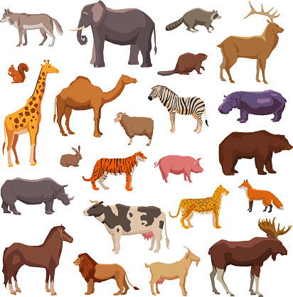 Big wild domestic and farm animals decorative icons set isolated vector illustration