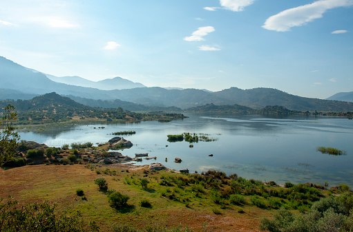 Lake Bunyonyi, Uganda - June 15, 2022: A group of cormorants sitting on a wooden post in Lake Bunyonyi in Uganda