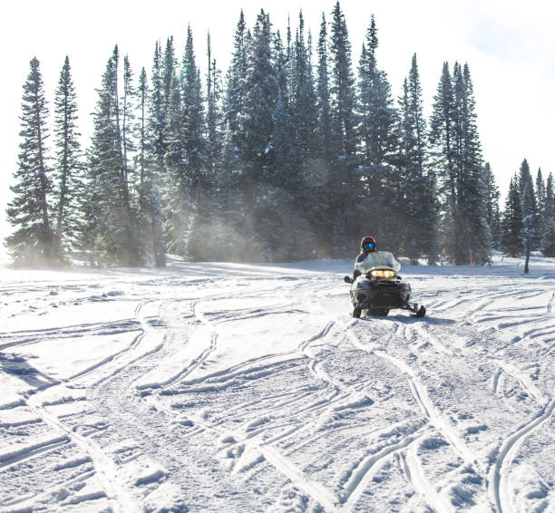istock Driving snowmobile in Colorado, USA 1201102532