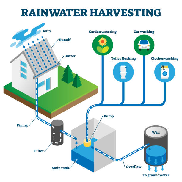 ilustrações, clipart, desenhos animados e ícones de diagrama isométrico do sistema de colheita de água da chuva - harvesting