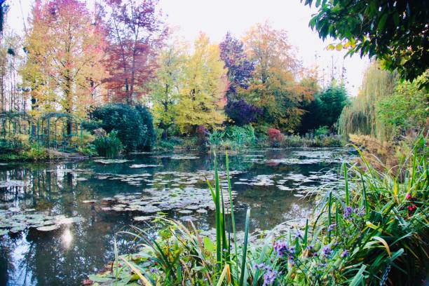 모네의 정원에 있는 수련 연못 앳 지버니 - foundation claude monet 뉴스 사진 이미지