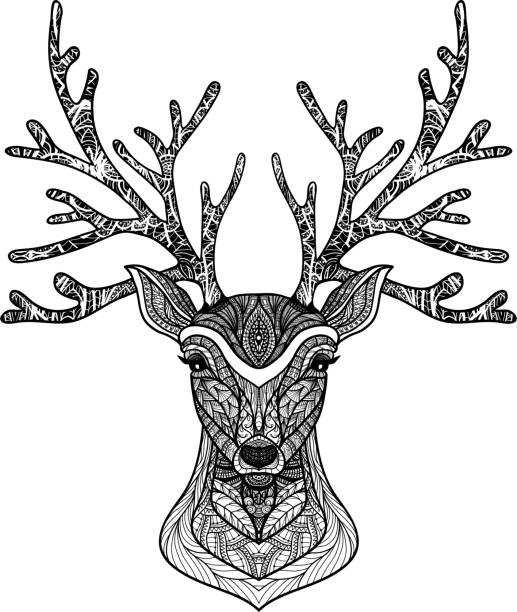decorative deer Wild deer hand drawn portrait with decorative ornament vector illustration how to draw a moose drawing stock illustrations