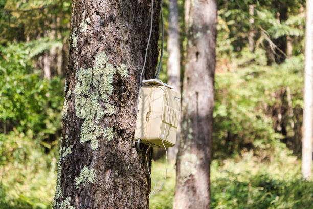 istock Power box for campsite in the forest 1201109052