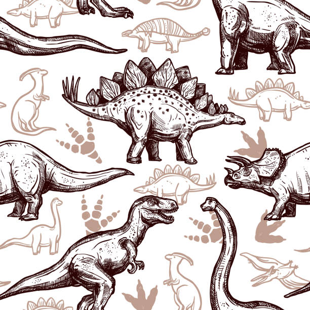 ilustraciones, imágenes clip art, dibujos animados e iconos de stock de dinosaurios patrón sin costuras - drawn learn dinosaur