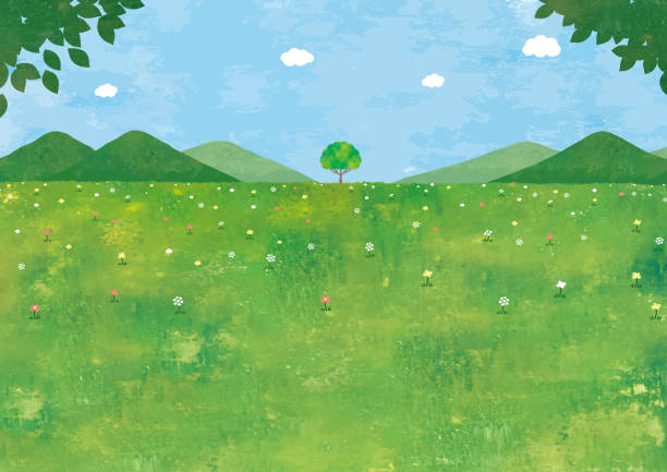 ilustraciones, imágenes clip art, dibujos animados e iconos de stock de campo de hierba y gran árbol - mountain pastures