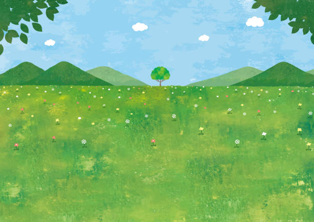 trawiaste pole i duże drzewo - las ilustracje stock illustrations