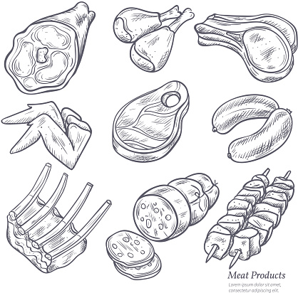 Gastronomic meat products sketches set in retro style on white background vector isolated illustration