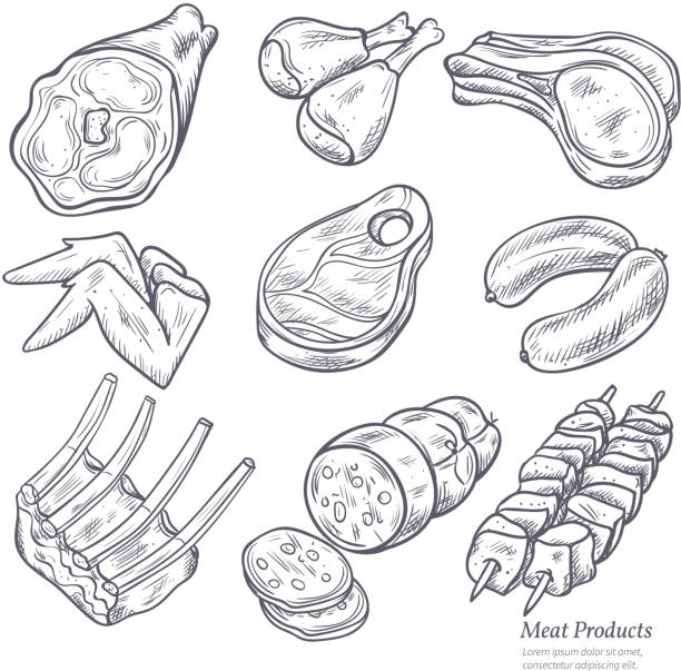 sketch meat Gastronomic meat products sketches set in retro style on white background vector isolated illustration meat drawings stock illustrations