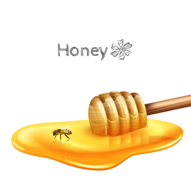 puddle of honey with stick Sweet honey puddle with stick and bee realistic vector illustration bee water stock illustrations