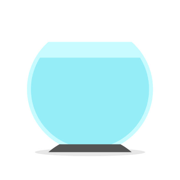 Fishbowl Gefüllt Mit Wasser Stock Vektor Art und mehr Bilder von Leer - Leer, Niemand, Fisch - iStock Fishbowl Gefüllt Mit Wasser Stock Vektor Art und mehr Bilder von Leer - Leer, Niemand, Fisch - iStock