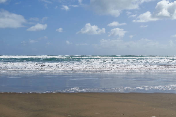 istock Muriwai Beach in Auckland 2018 1201115158