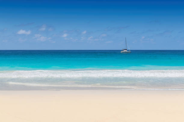 istock Tropical seascape scenic beach backgrounds 1201116190