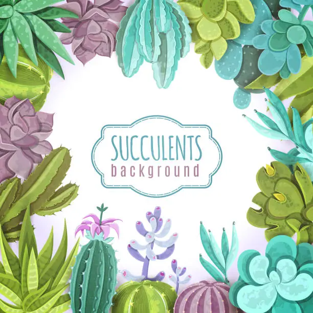 Vector illustration of cactus background