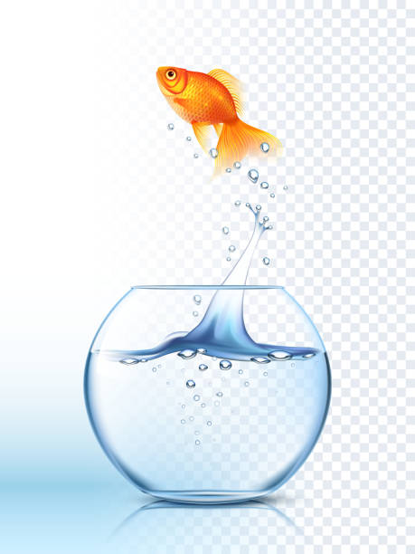 fish jumping out bowl Golden fish jumping high out the round fishbowl with clear water light checkered background poster vector illustration goldfish stock illustrations