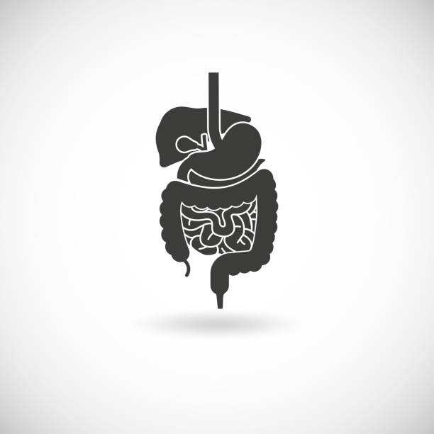 Laxative Vector 60+ Laxative Icon Stock Illustrations, Royalty-Free Vector Graphics ...