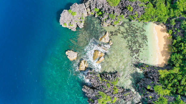 istock White sand beach on a tropical island, top view. Wild white sand beach 1201120481