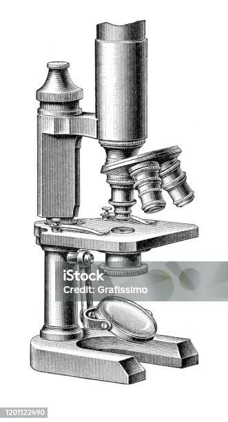 1860 Microscope Drawing Antique Microscope 19th Century Stock Illustration - Download Image Now ...