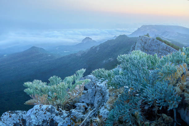 istock Rocky mountains in the evening haze. 1201125603