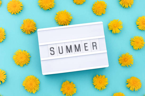 istock Text Summer on light box and yellow dandelions on blue background. Concept hello summer. Top view Flat lay 1201125872