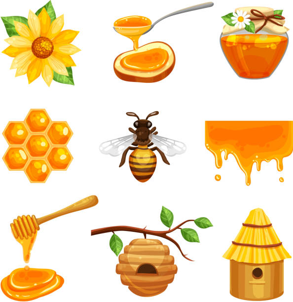 honey set Honey isolated cartoon icon set with various elements of beekeeping and bee life vector illustration bee water stock illustrations