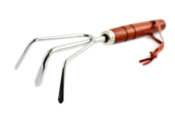 istock Garden tool for plant care on white background 1201126579