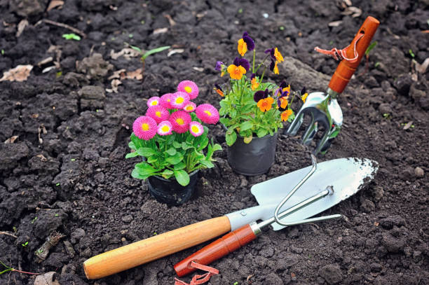 istock Gardening tools and spring flowers in the garden 1201126639